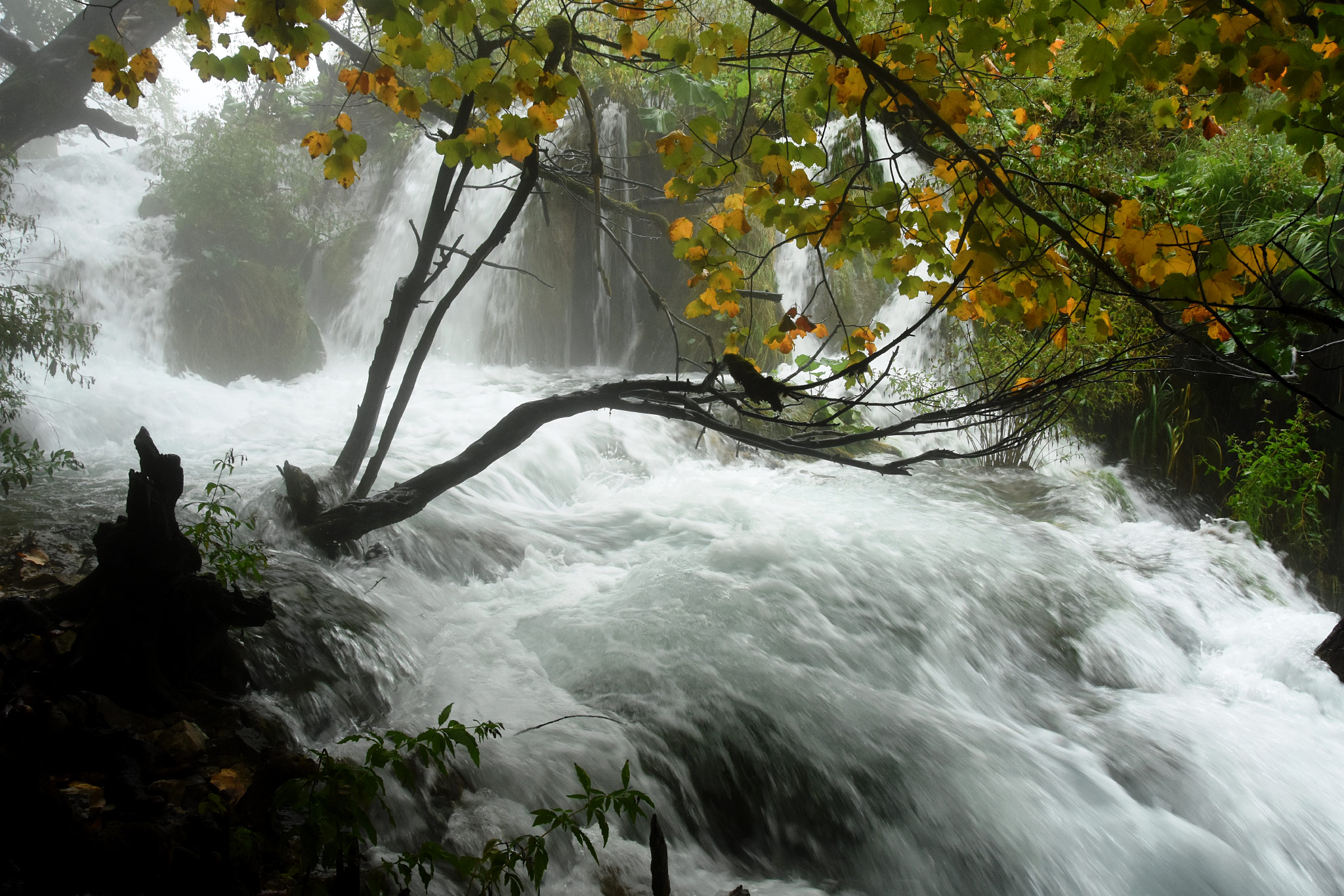 Plitvice Lakes N.P.